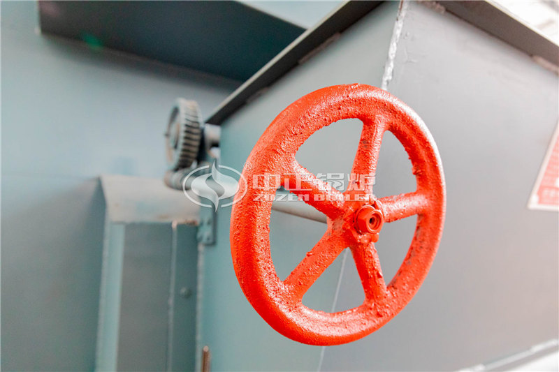 40T燃生物質(zhì)導熱油爐制造商