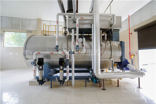 4T天然氣導熱油爐生產(chǎn)廠家