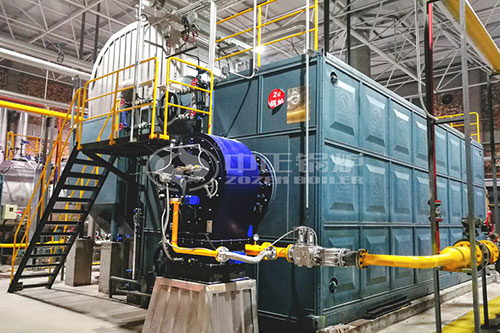 生物質熱水鍋爐